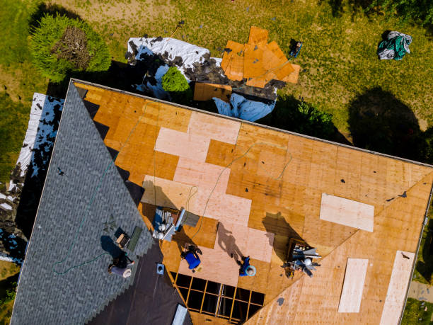 Best Roof Gutter Cleaning  in Spring Hill, FL