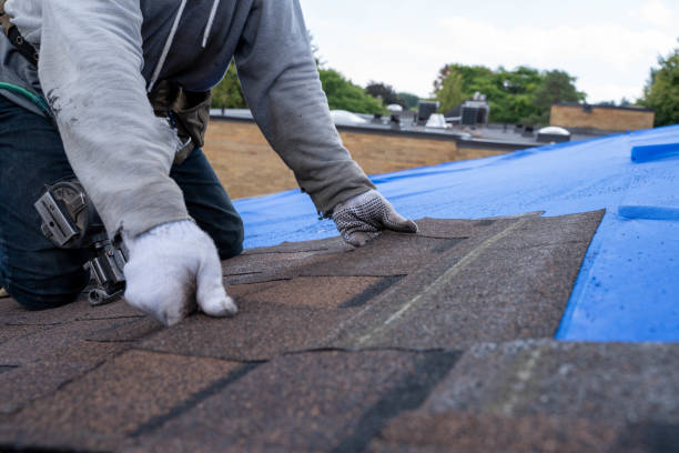 Best Commercial Roofing Services  in Spring Hill, FL