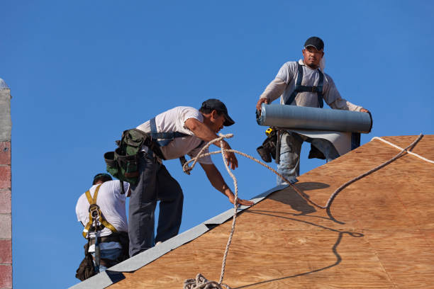 Best Storm Damage Roof Repair  in Spring Hill, FL
